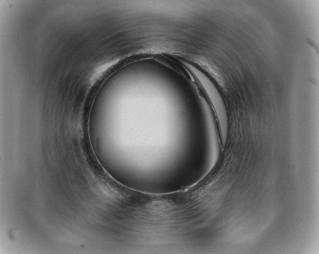 X0000095880536200801111135