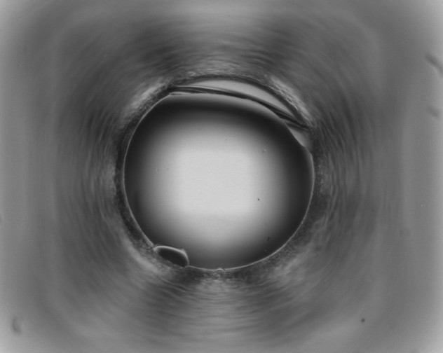 X0000095880538200801111135