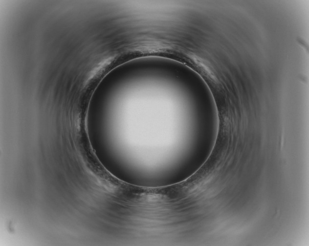 X0000095880539200801111135