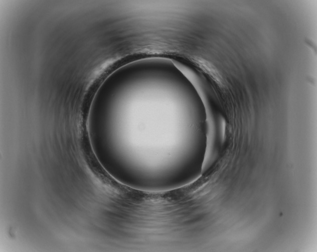 X0000095880540200801111135