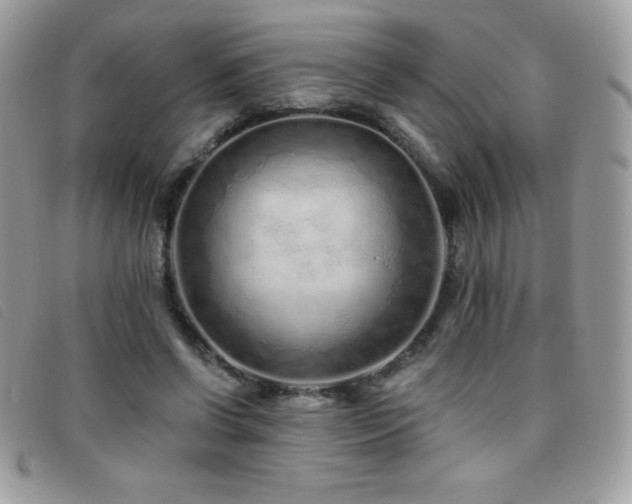 X0000095880542200801111135
