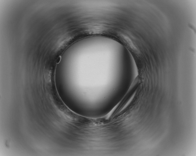 X0000095880543200801111135
