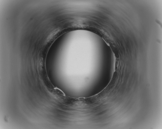 X0000095880544200801111135