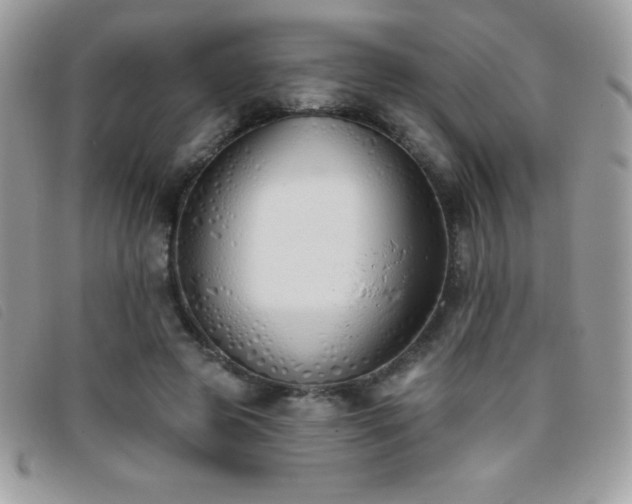 X0000095880545200801111135