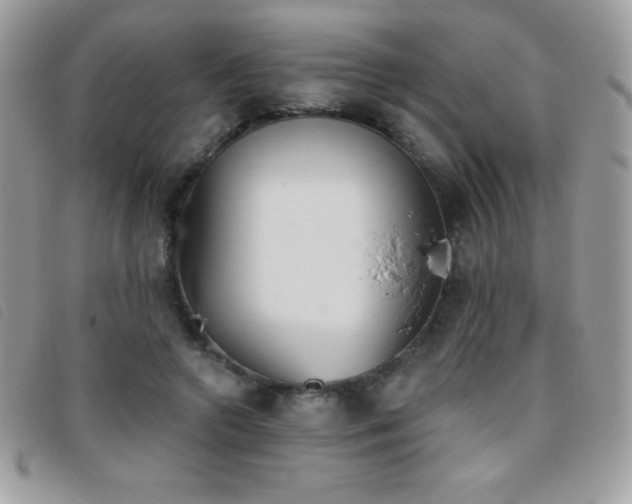 X0000095880546200801111135