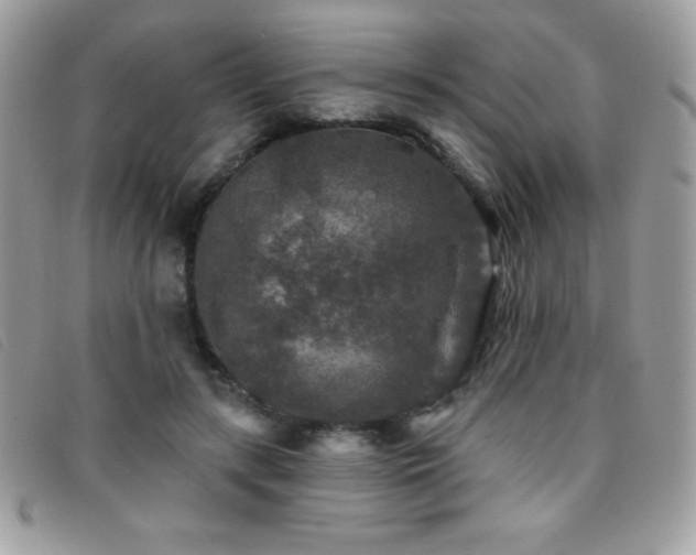 X0000095880547200801111135