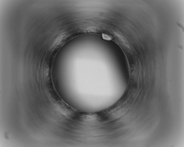 X0000095880548200801111135