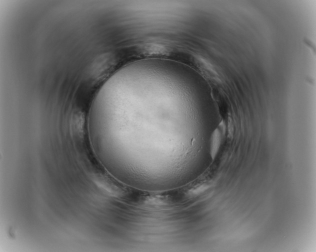 X0000095880550200801111136