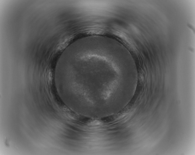 X0000095880551200801111136