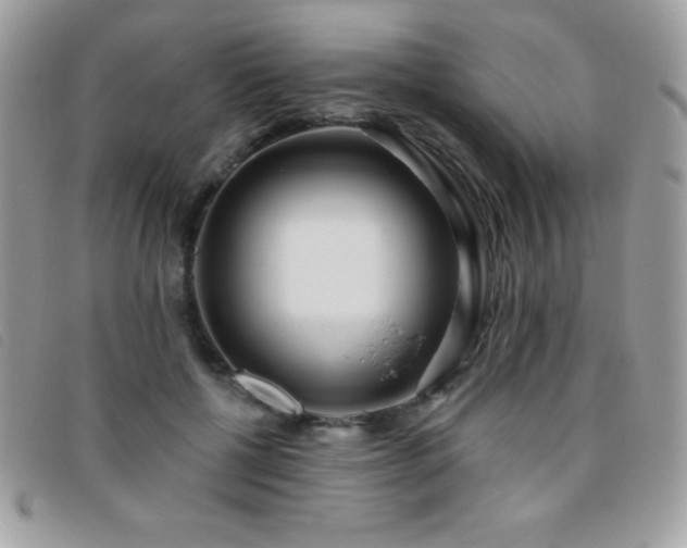 X0000095880552200801111136