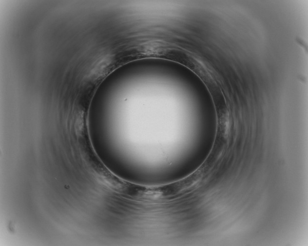 X0000095880554200801111136