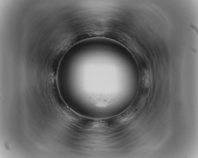 X0000095880555200801111136