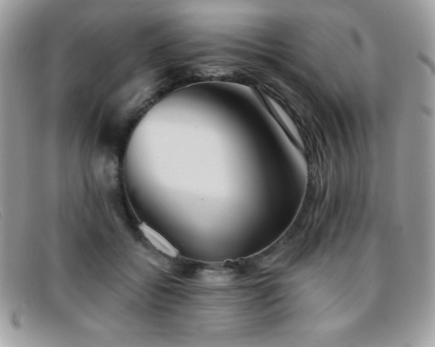 X0000095880556200801111136