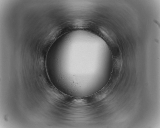 X0000095880557200801111136