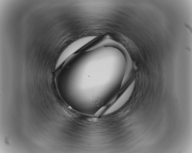 X0000095880558200801111136