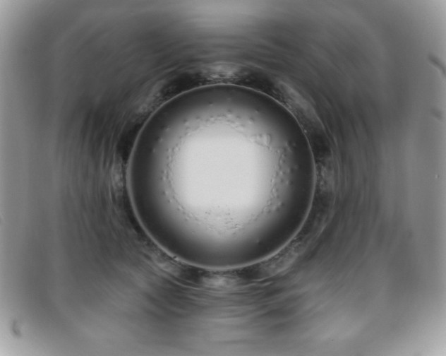X0000095880561200801111136