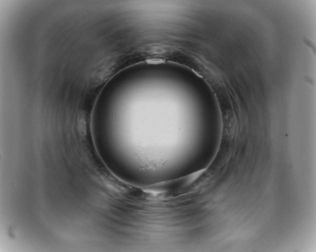 X0000095880562200801111136