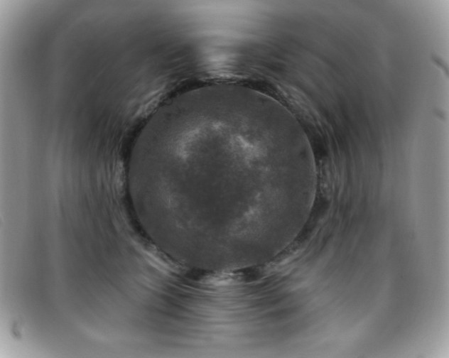 X0000095880563200801111136