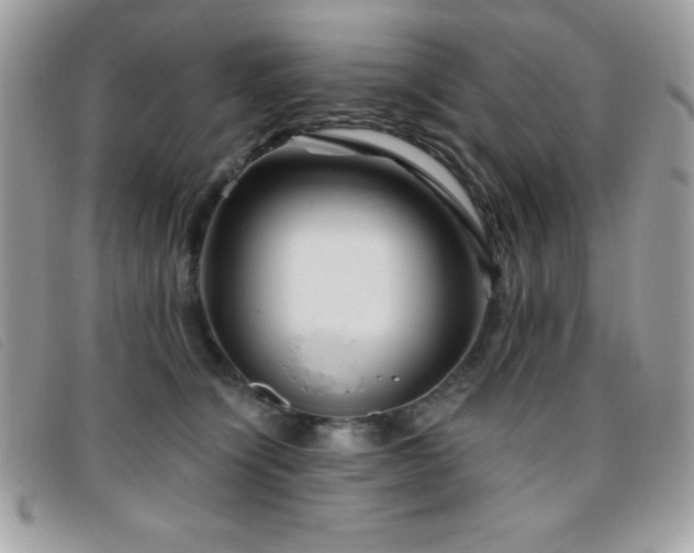 X0000095880564200801111136