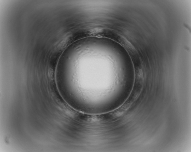 X0000095880565200801111136