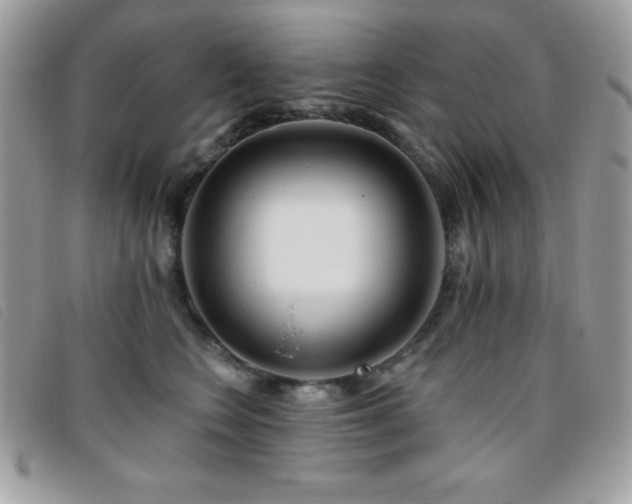 X0000095880566200801111136