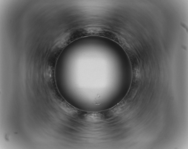 X0000095880567200801111136