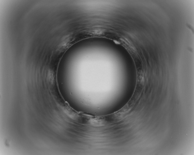 X0000095880568200801111136