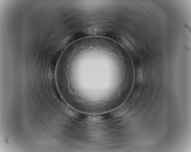 X0000095880569200801111136