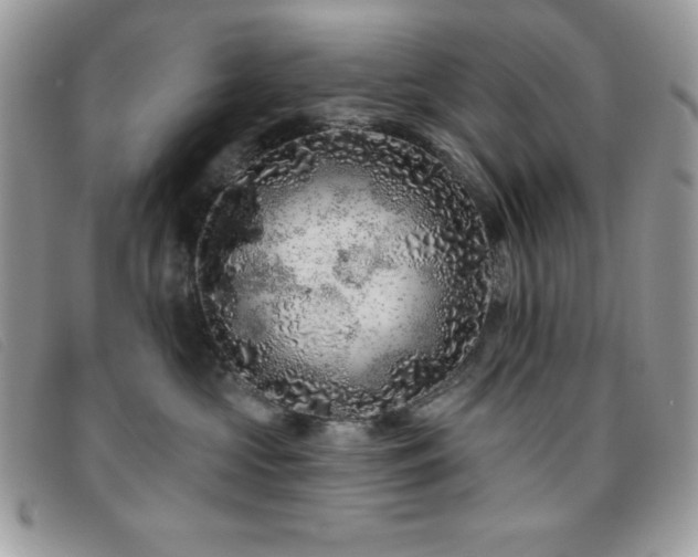 X0000095880573200801111136