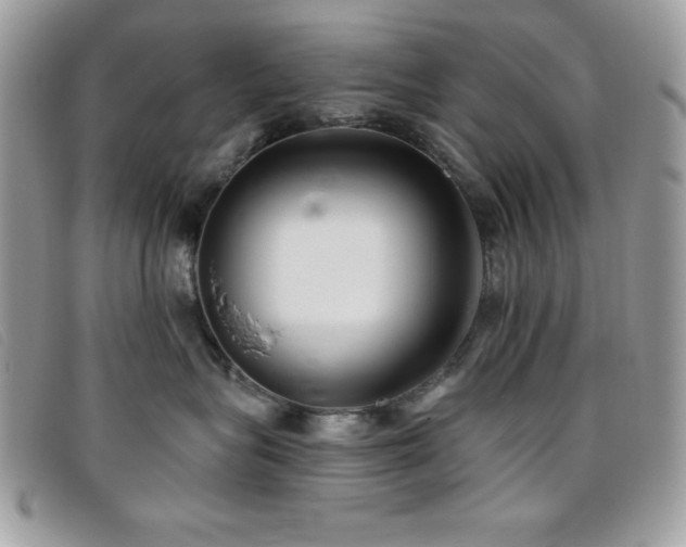X0000095880575200801111136
