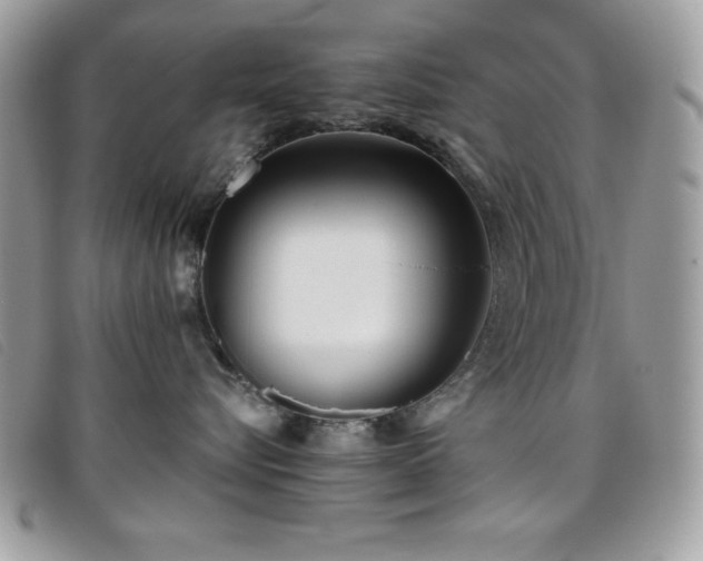 X0000095880576200801111136
