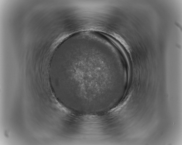 X0000095880577200801111135