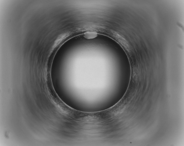 X0000095880578200801111135