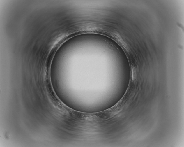 X0000095880579200801111135