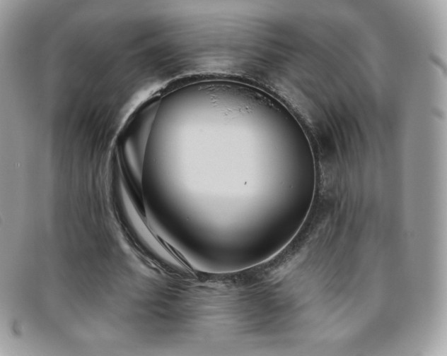 X0000095880580200801111135