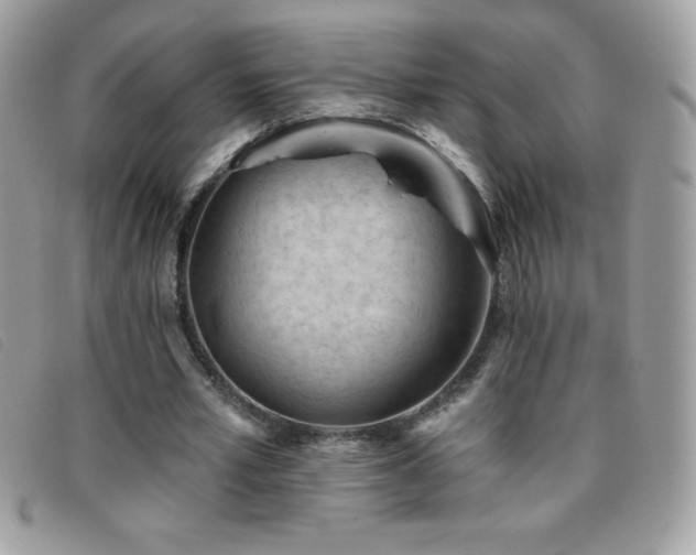 X0000095880581200801111135