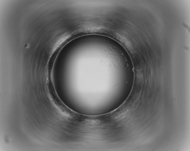 X0000095880582200801111135