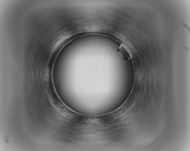 X0000095880583200801111135