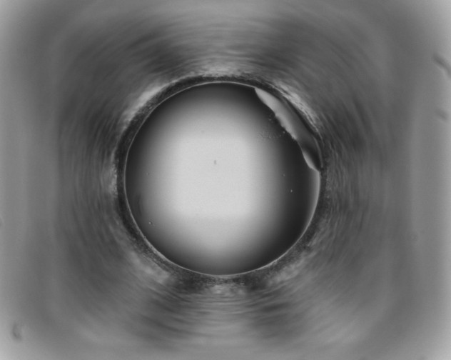 X0000095880584200801111135