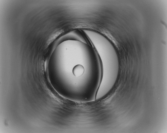 X0000095880585200801111135