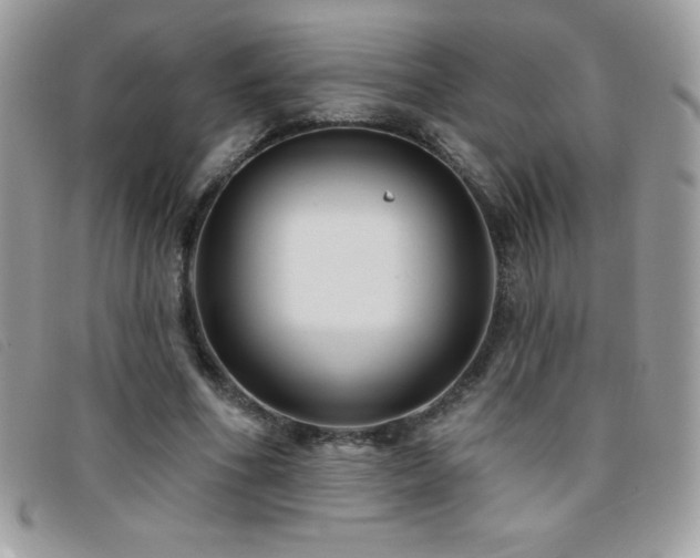 X0000095880586200801111135