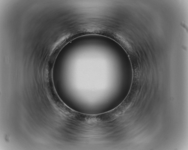 X0000095880587200801111135