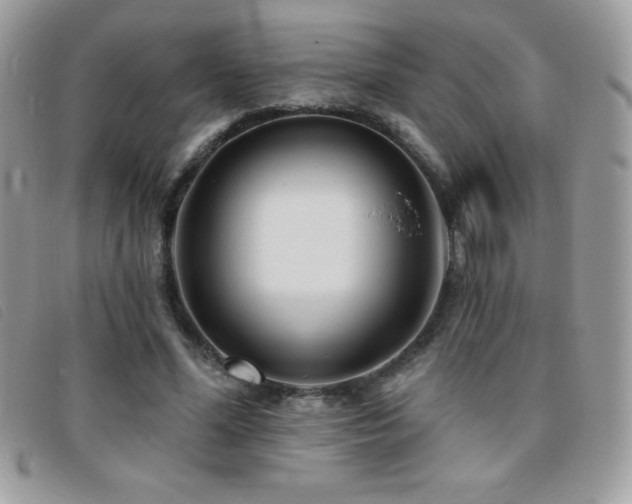 X0000095880588200801111135