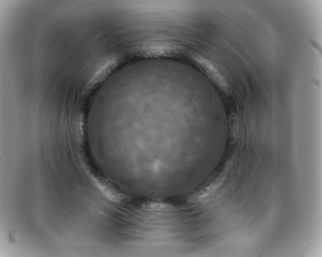 X0000095880590200801111135