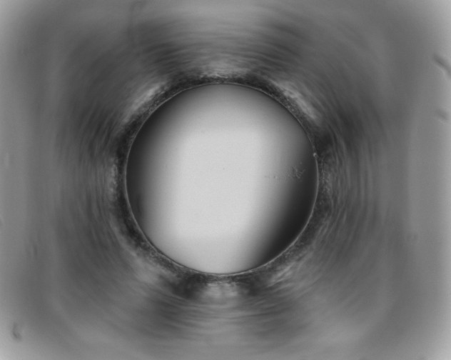 X0000095880591200801111135