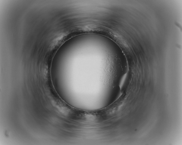 X0000095880592200801111135