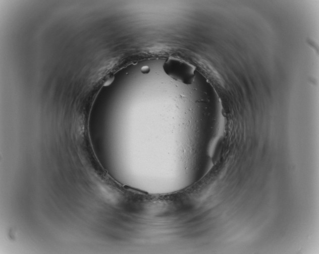 X0000095880593200801111135