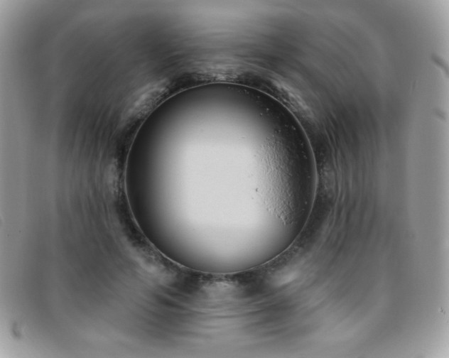 X0000095880594200801111135