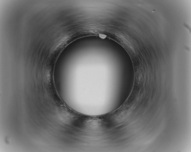 X0000095880595200801111135