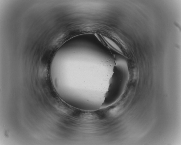 X0000095880597200801111135